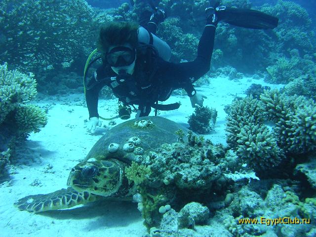 � � ���������