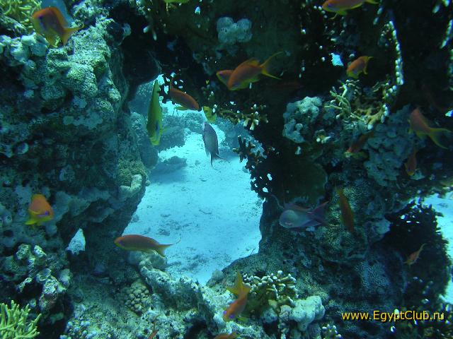 ���� � ���