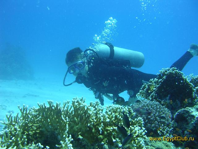 � ��� ��� ���