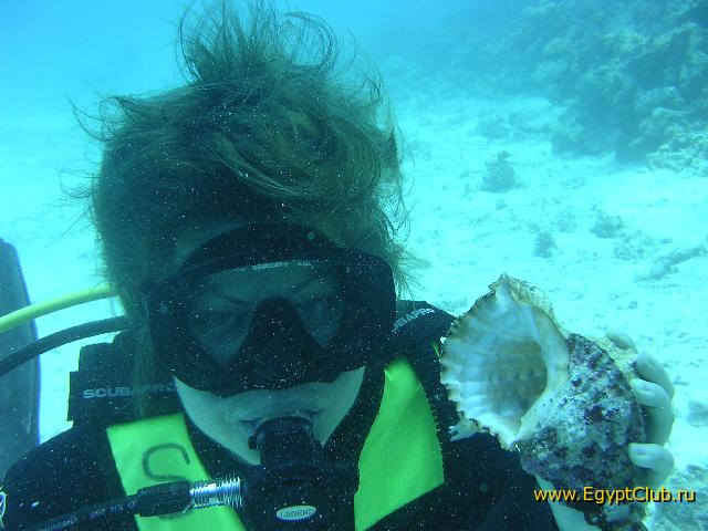 � ���������