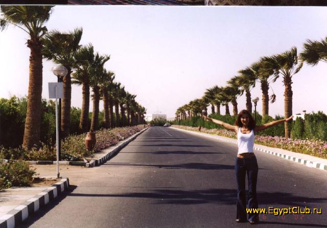 �������/��������