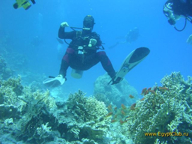 ���-�� ������