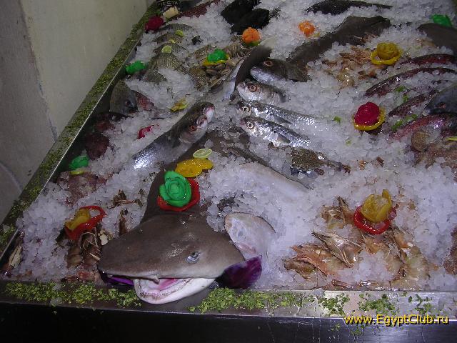 ������������...