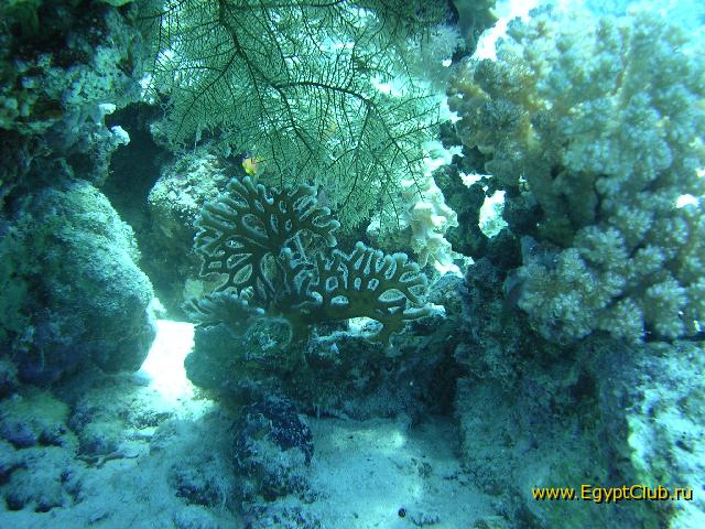 ������ �������� ��������!