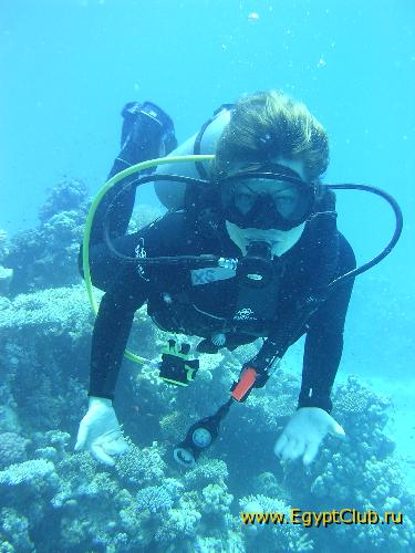 ����� �����!