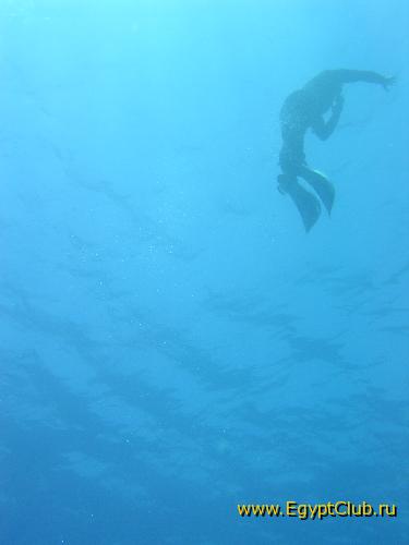 ���-����