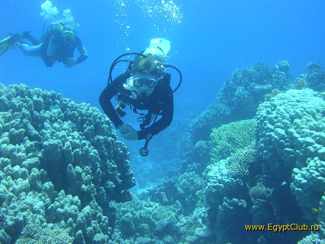 ��� ��������