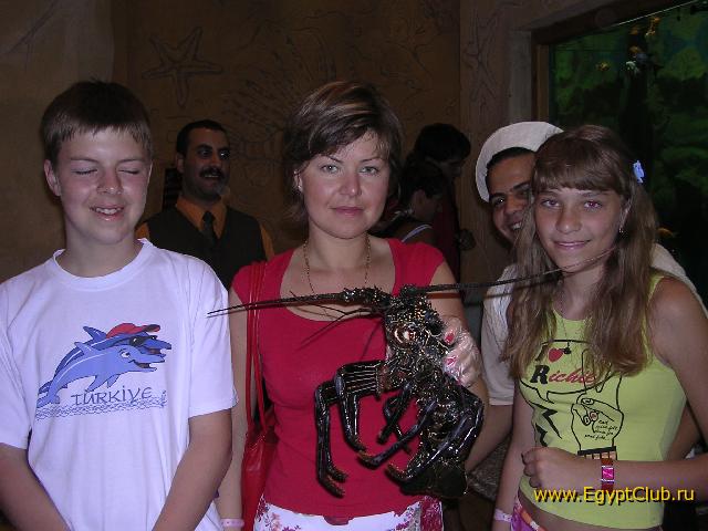 � ��������