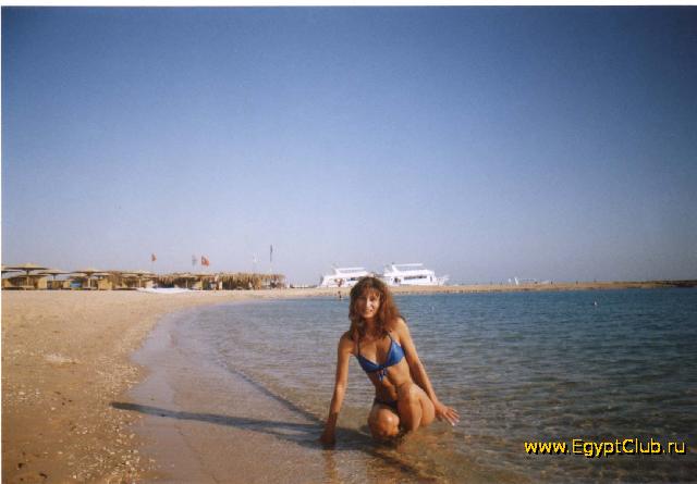 ��������/�������