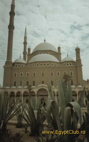 �� ������ ��������! (�������, ��� 2004�., ����� �Sea Garden�).