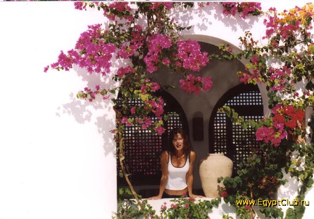 �������/��������