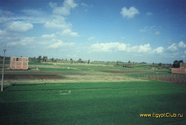 �������� ������