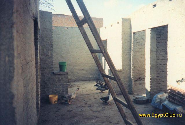 ���� �� �����