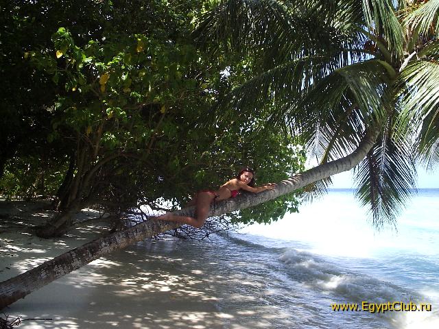 ������ �� ������