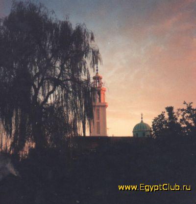 ����� � �������