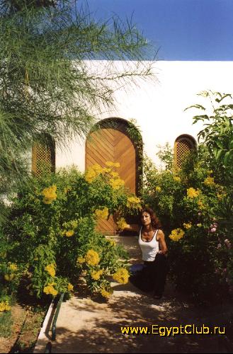 �������/��������