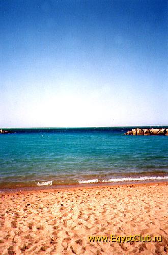 ������ ����.