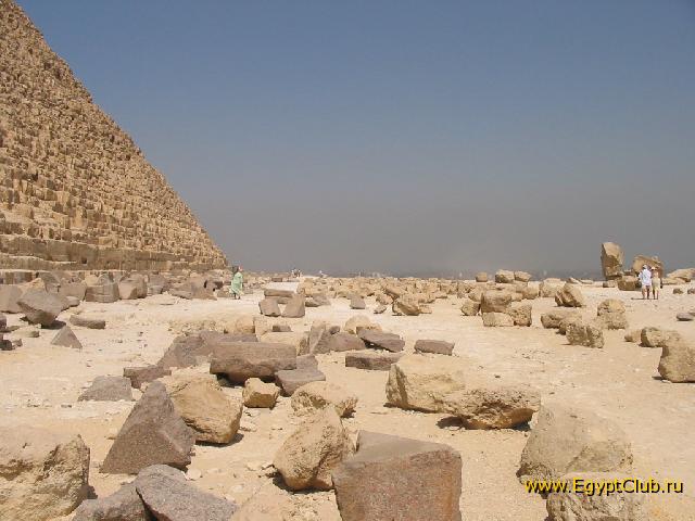 � ���� ������