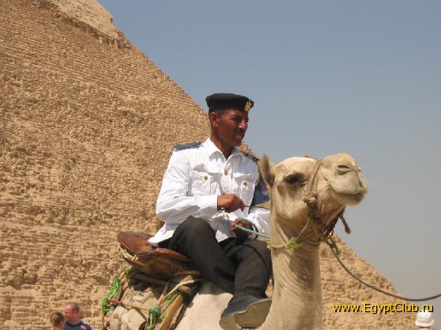 ��� ��������