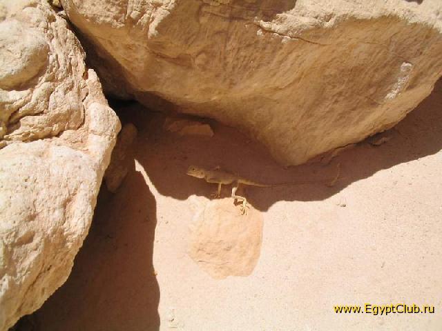 ������� � ������� �������