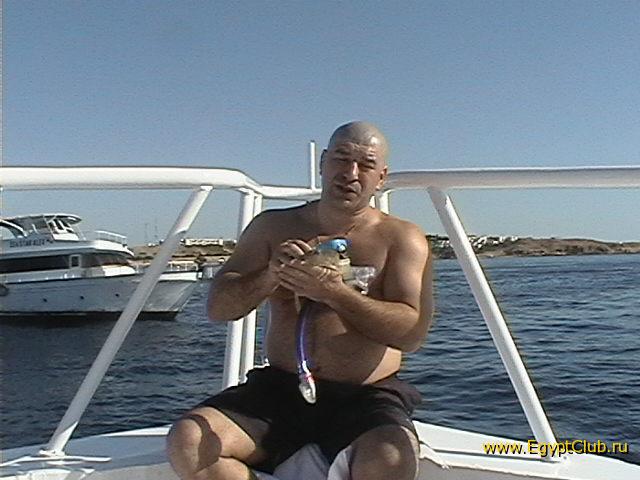 � �������� �����������