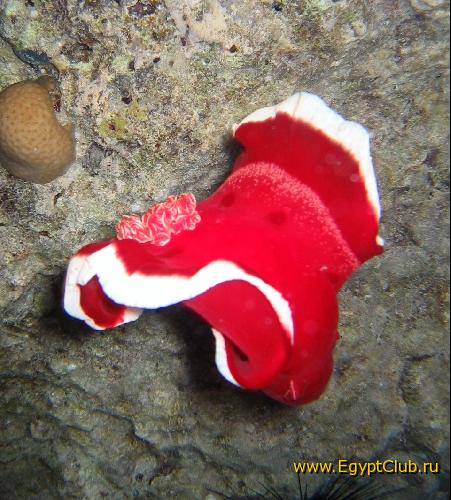 ��������� ������ � ����