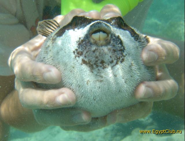 �������.