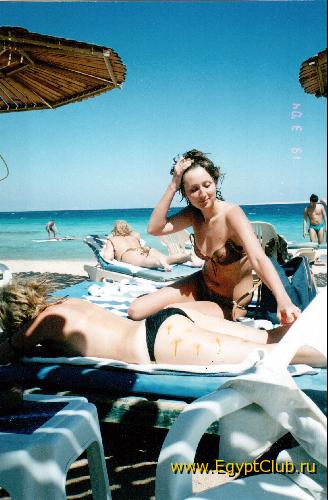 ���� Sea Gull