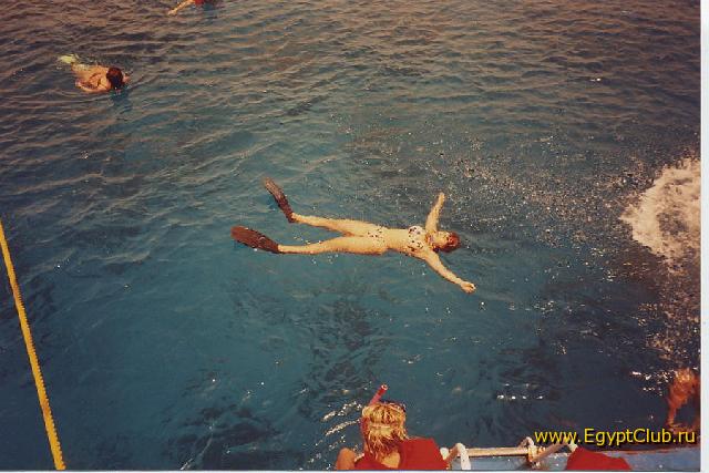 ������������...