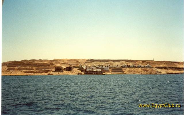 Felfela (��� � ����)