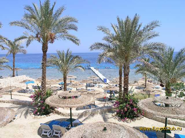 ���, Intercontinental