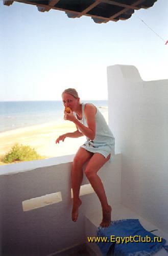 ������ �