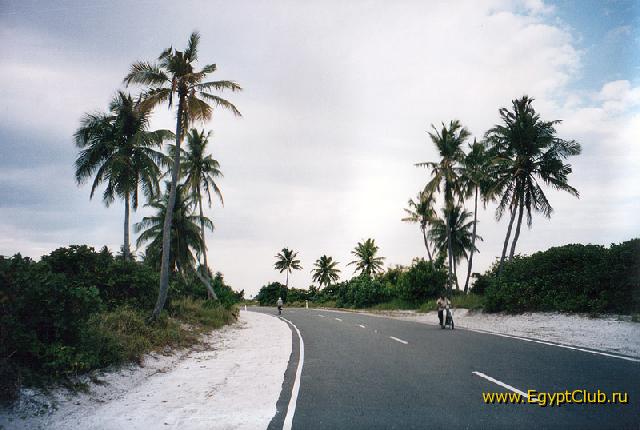 ������� � ������ (������ �� ������)