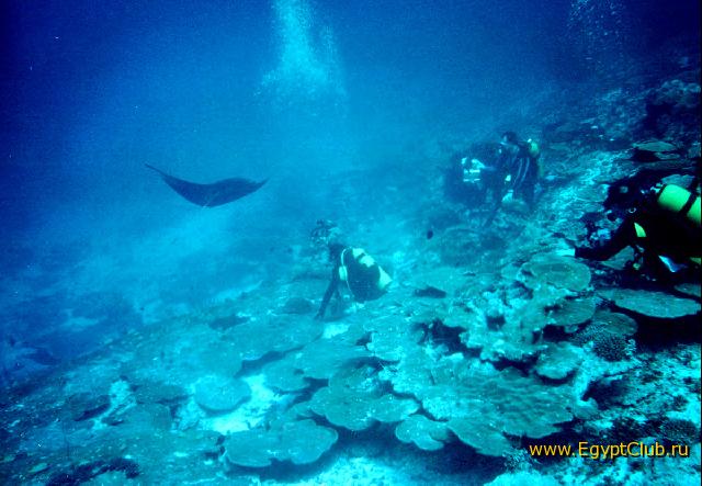 ����� ������ � ��������