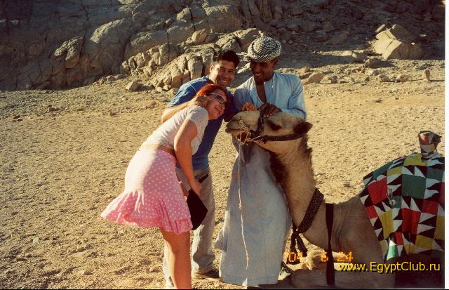 ������� � ���������