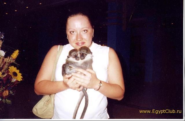 � ����� (� � ��������)