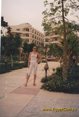 ����� � ������ 2004