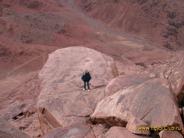 ���� ������ ����