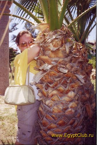 � ������� - � �����������