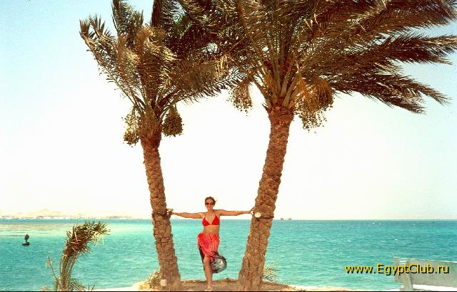 �� ���������� Intercontinental Hurghada