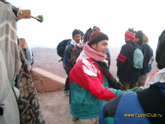 ����� ��������� ���������