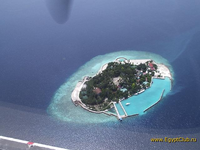 �����  ��� ����������� ������