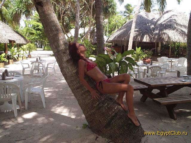 ���������� ��� �����