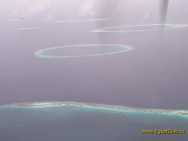 ������ (��������)