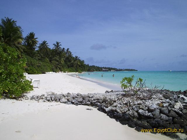 ��� ������