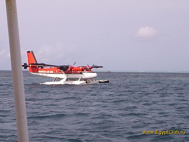 ������������-��������