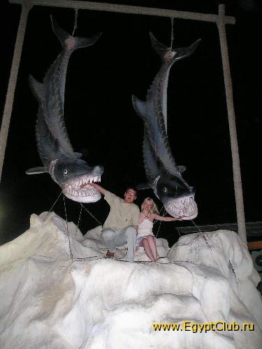 ����� �������