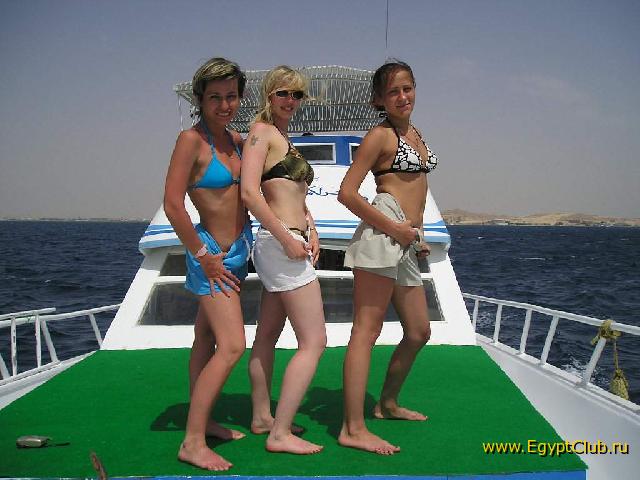 ��� �� �����