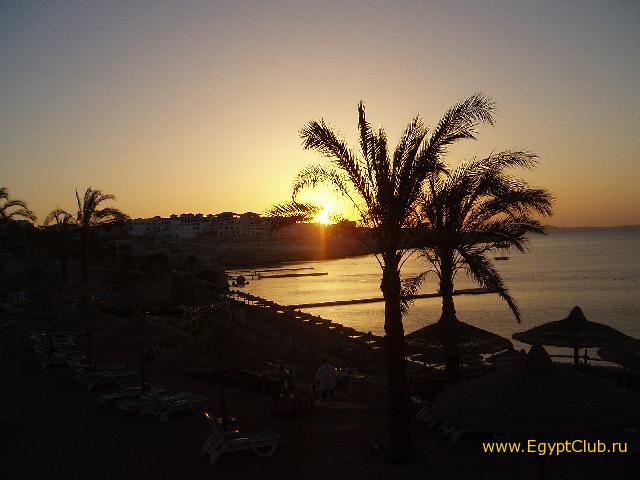 ������� � ������� ������ ������ �����