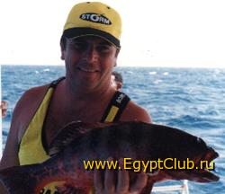 ������� � ������